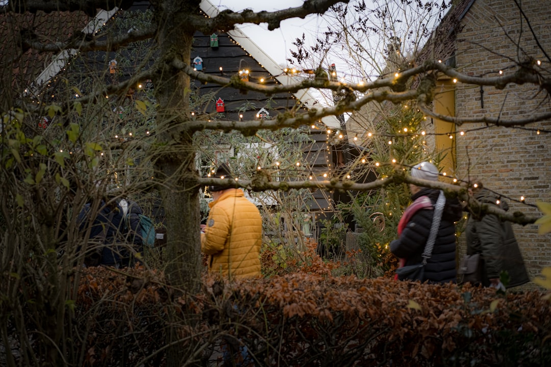 A couple of people that are standing in the grass